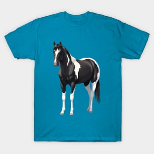 Beautiful Black Pinto Quarter Horse Paint Stallion T-Shirt